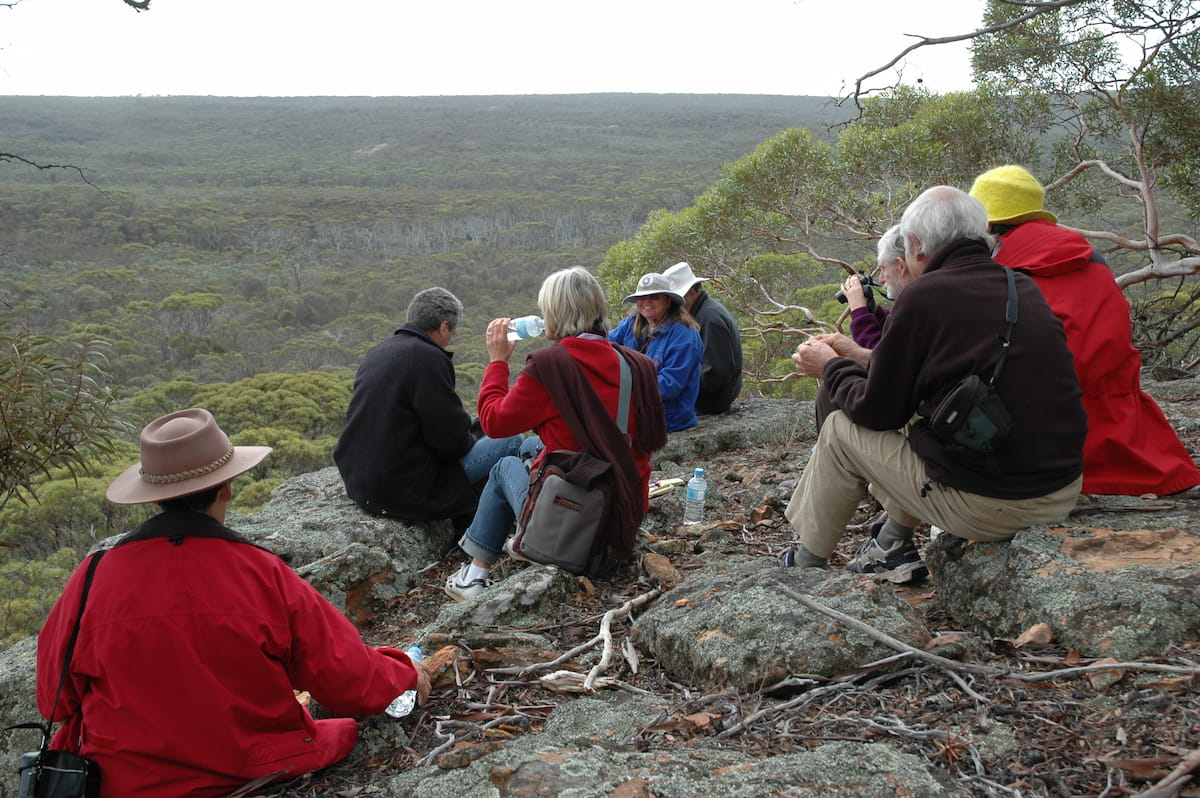 Small group sitting on hillside looking over bush