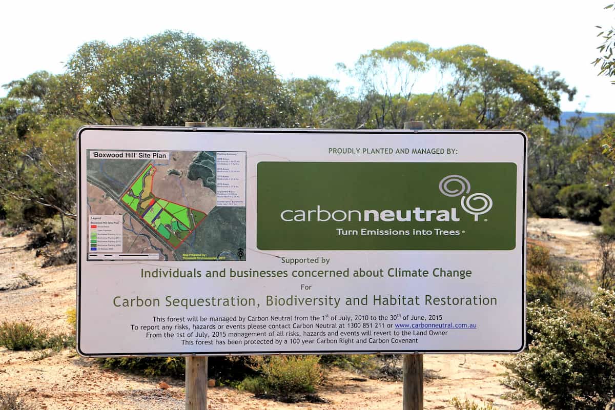 Image for Carbon Neutral restoration site