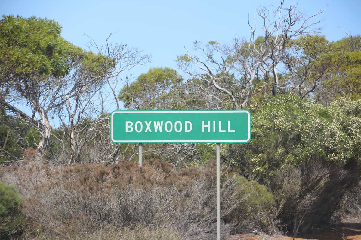 Image for Boxwood Hill crossroad