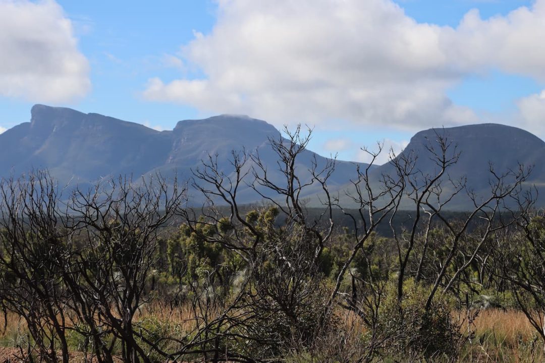 Stirling Ranges Fire Entangled nature: The Stirling Range National Park | Heartland Journeys