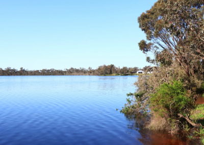 Large expanse of water surrounded by vegetation
