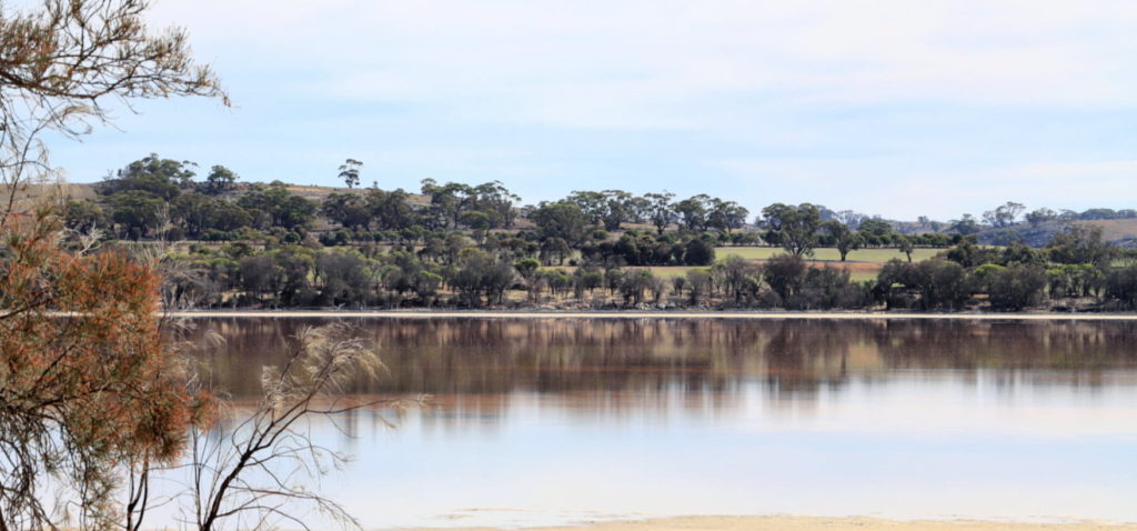 Image for Lake Queerearrup