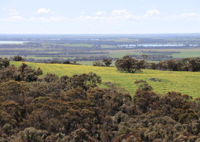 View of lakes, paddocks and native vegetation to the north of Sukey Hill