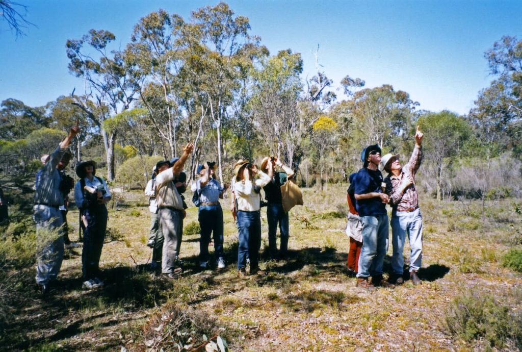 Group of twelve people in open part of woodland pointing up into tree