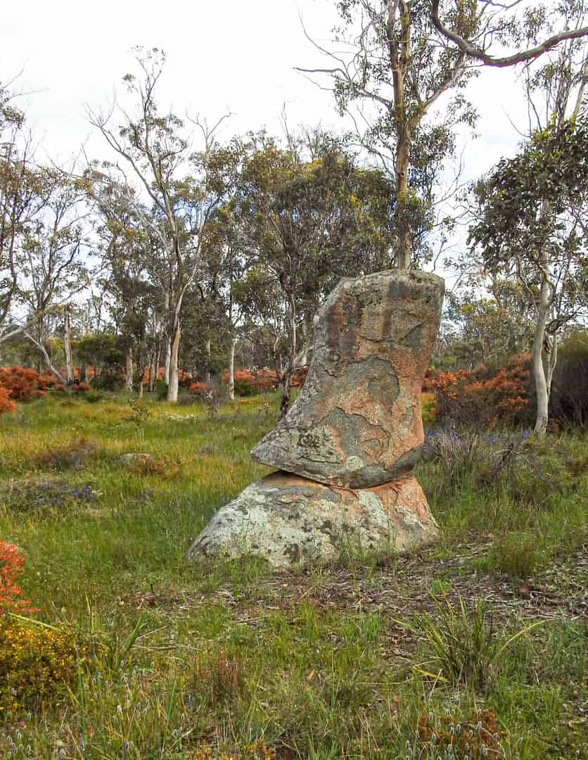 Bushland scene with granite rock shaped like a boot