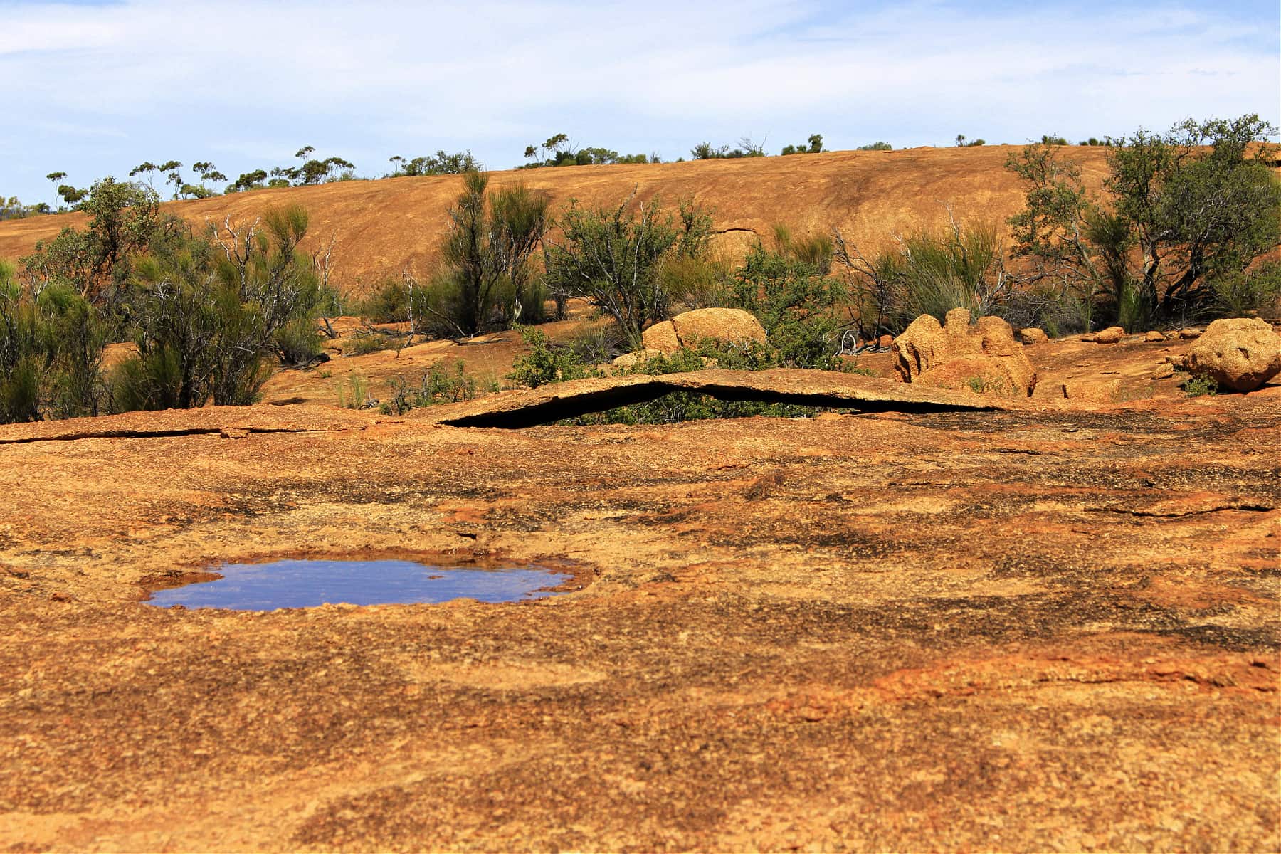 Large expanse of rock with vegetation and small pools of water