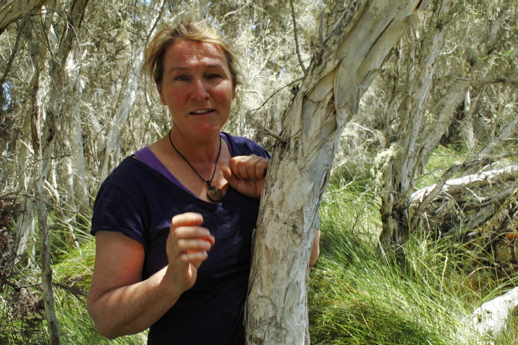 Woman standing next to paperbark in wetland