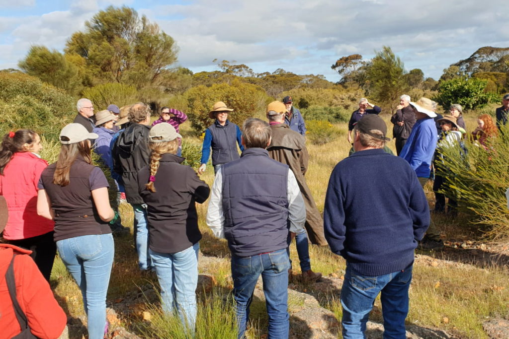 Group of people gathering in landcare ecological restoration plantings on farm in Tambellup