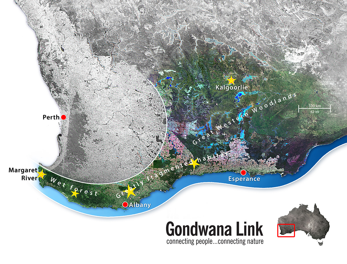 Map of Gondwana Link area between Margaret River and Great Western Woodlands
