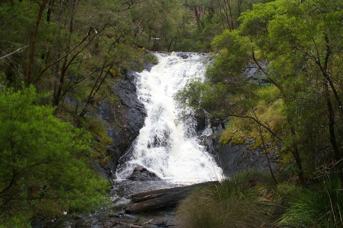 Image for Beedelup Falls