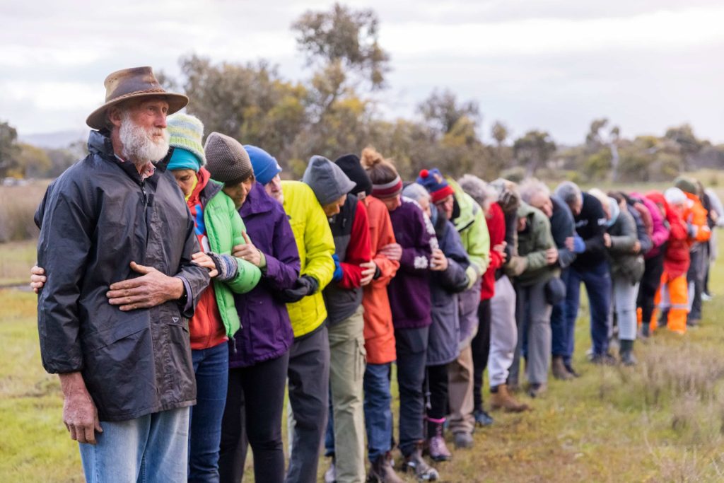 Spiders - Oyster Harbour Catchment Group