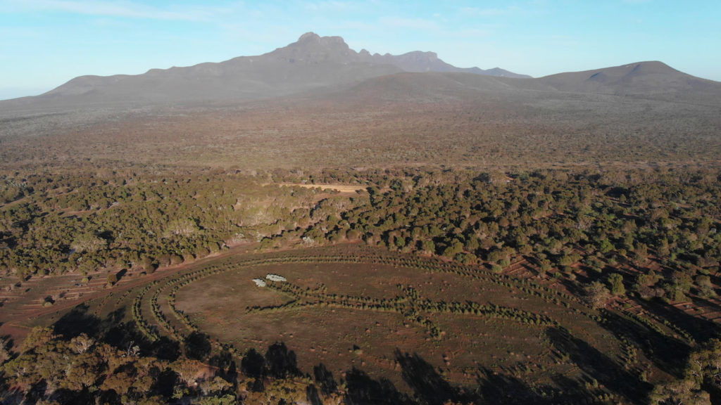 Aerial image of Karda (goanna) totem planting by Nowanup Rangers and Greening Australia at Greening’s ‘Yarrabee’ property in Gondwana Link, east of Koi Kyeunu-ruff (the Stirling Range)