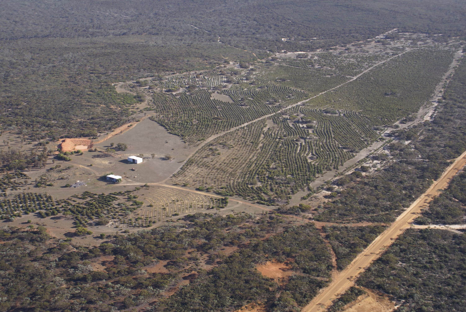 In the centre of the photo is the main revegetation area where Greening Australia direct-seeded habitat of mixed local species at Chingarrup Sanctuary in 2005.