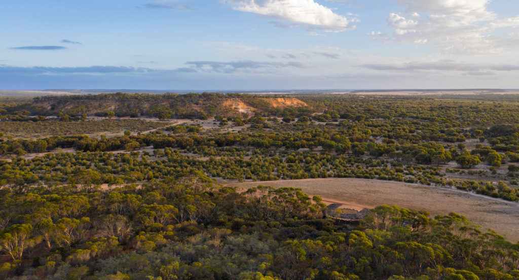 View over the Nowanup Meeting Place and revegetated farmland to a spongolite mesa – the remnant of an ancient seabed