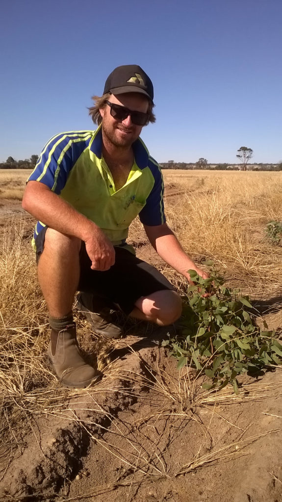 Image of Farmer Hamish Thompson with some of his new revegetation completed through Landcare