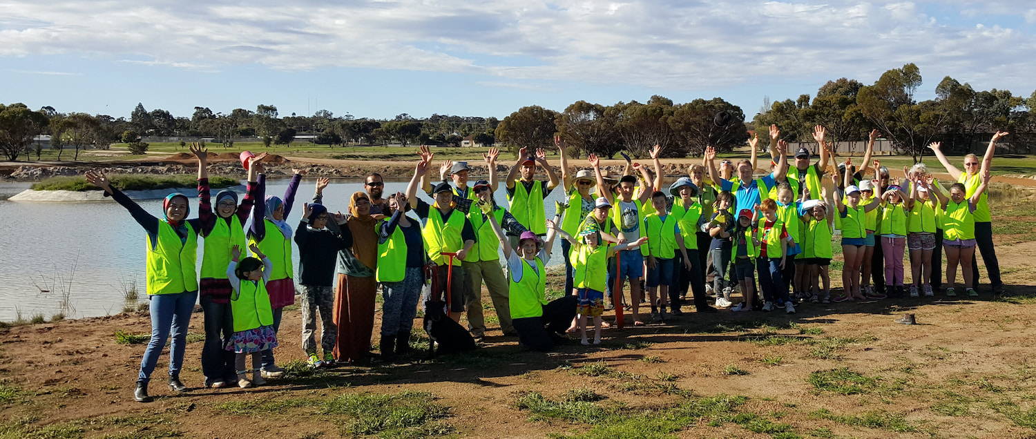 Image of Katanning Landcare community volunteers planting a newly created vegetated swale at Piesse Lake.