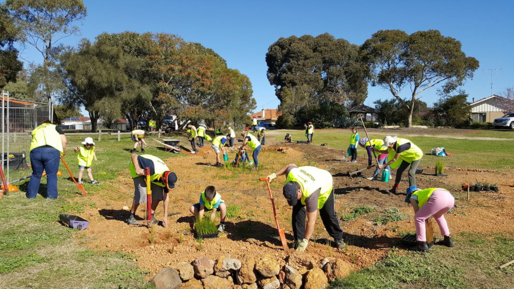 Image of Katanning Landcare community volunteers planting a newly created vegetated swale at Piesse Lake.