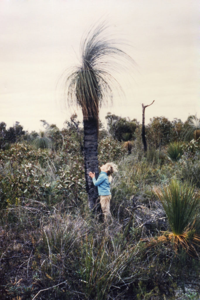 Image of Sylvia at about age 6 (c. 1971), inspecting a Kingia australis on Wilyun Pools Farm.

