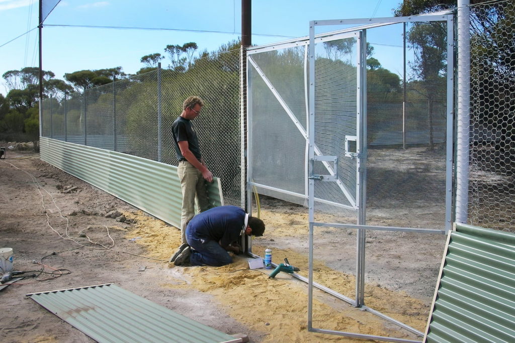 Image of Kingsley at the Yongergnow Malleefowl Centre in Ongerup. Picture: Sandy Vaux. 
