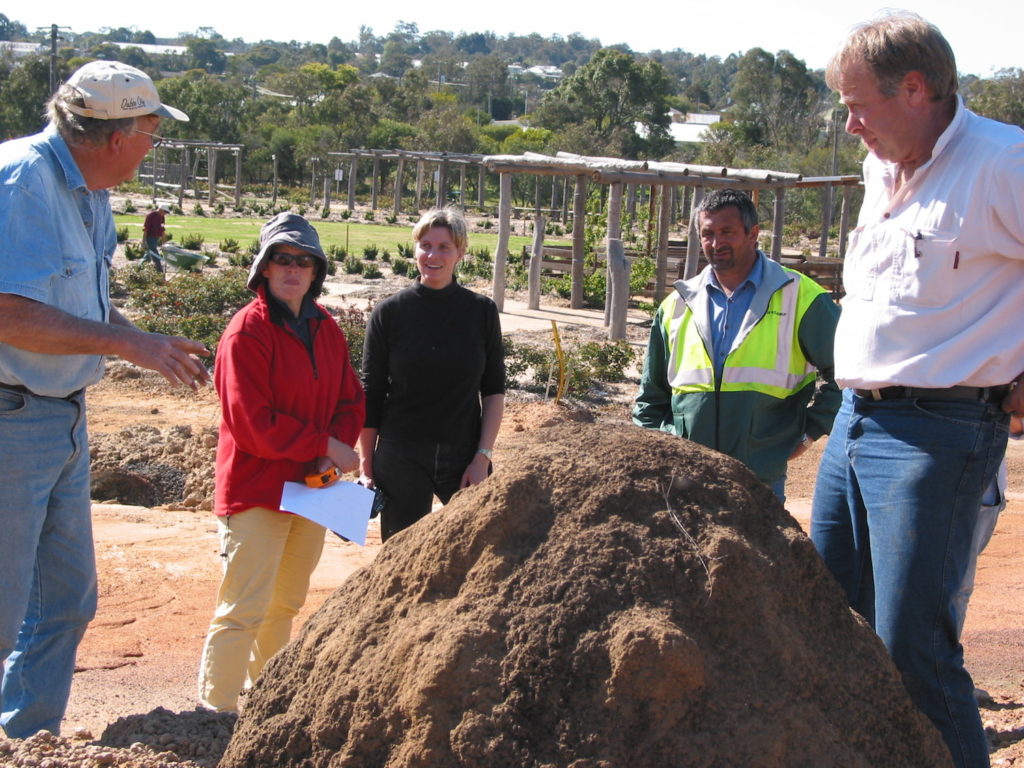 Image of Margaret Robertson at The Kodja Place in 2002 with farmers Peter Anderson, Cathy Wright and Geoff Thorn, and Chairperson of the Kojonup Aboriginal Corporation, Craig McVee, discussing how to display the inside of a termite mound minus the termites! The display has Noongar stories about karda (goannas) laying their eggs in these mounds. Picture: Penny Young.