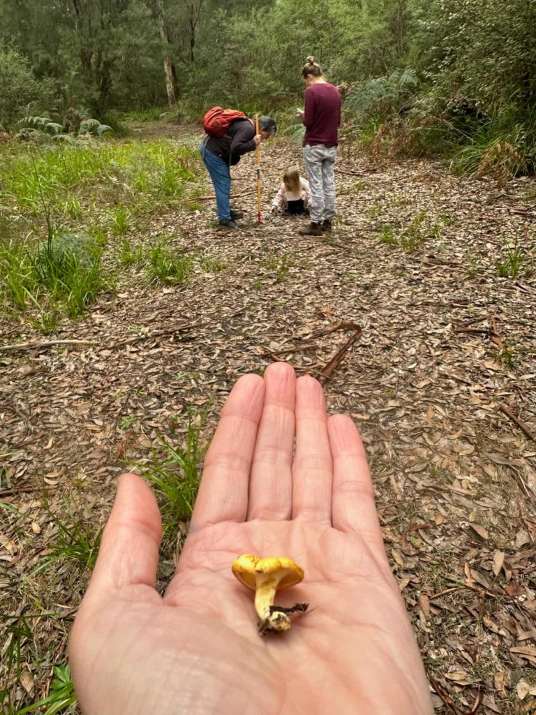 Cecile Williams holds an Austropaxillus sp., while Katrina Syme (left) and Prue and her daughter search for other fungi at Che Sara Sara. Image: Cecile Williams.